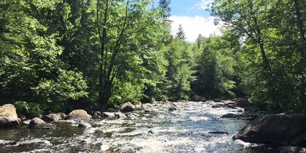 Randonnée en nature - Auberge Beaux Rêves, Sainte-Adèle, Laurentides QC
