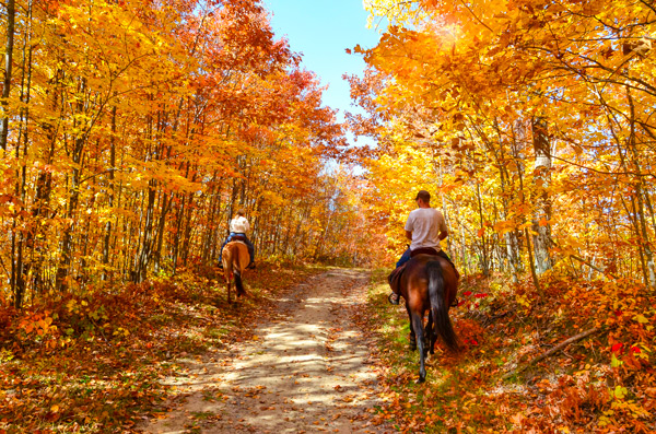 Auberge and Spa Beaux Reves / #CanadaDo / Best Horseback Riding Places in Quebec